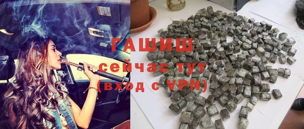 сатива Новозыбков