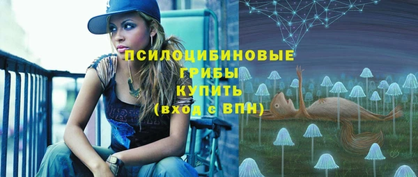 каннабис Новокубанск