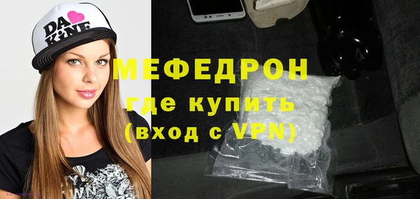 сатива Новозыбков